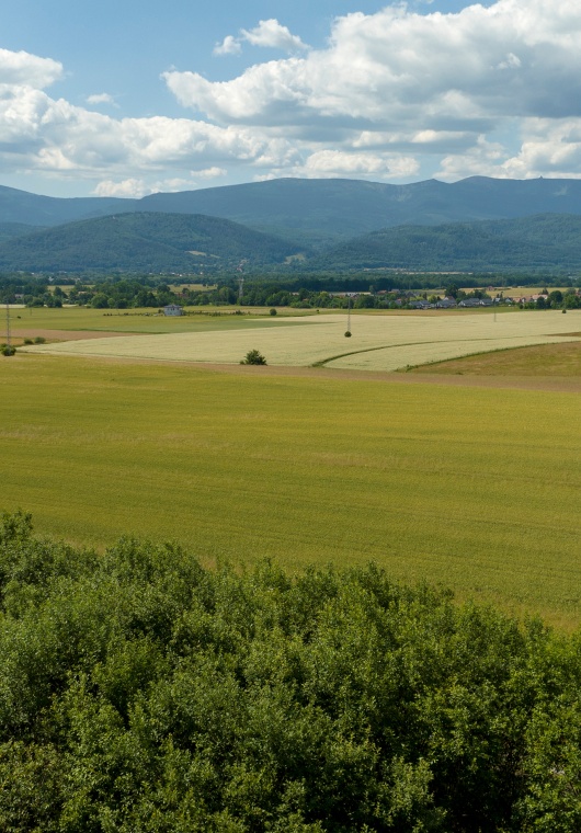 Miasto blisko. Góry jeszcze bliżej.
