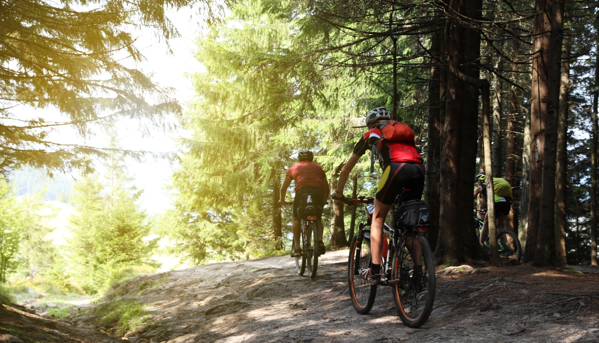 Szlaki rowerowe w Górach Orlickich – trasy MTB przy Zieleńcu
